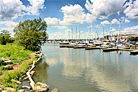 Pickering Translation Services Pickering Translation Services